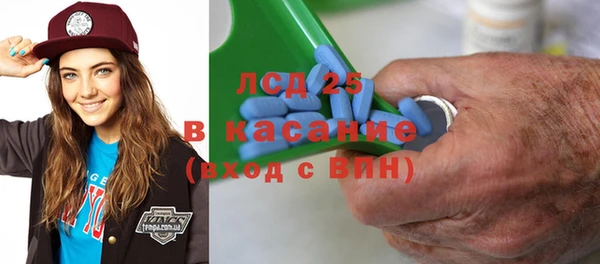 дживик Лагань