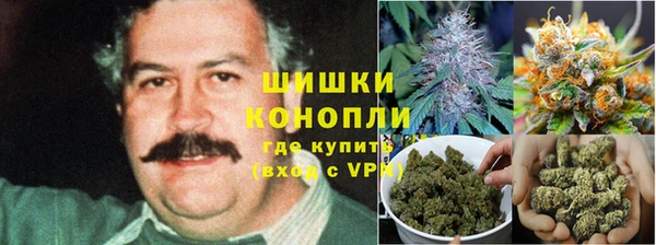 дживик Лагань