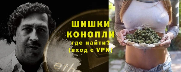 дживик Лагань